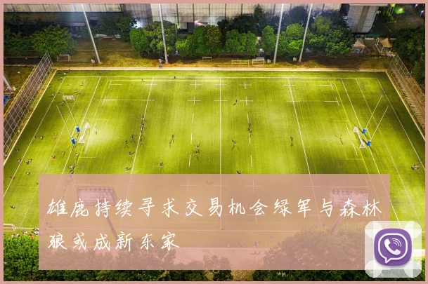 雄鹿持续寻求交易机会绿军与森林狼或成新东家