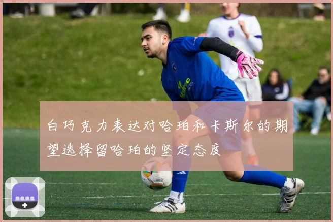 白巧克力表达对哈珀和卡斯尔的期望选择留哈珀的坚定态度